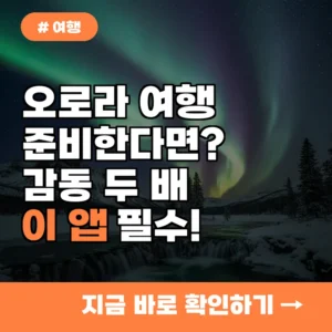 오로라 여행 준비 중이라면? 밤하늘 감동을 2배로 만드는 ‘이 앱’