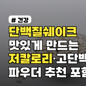 단백질쉐이크 맛있게 만드는 방법과 저칼로리·고단백 파우더 추천 포함