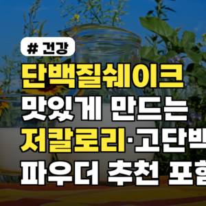 단백질쉐이크 맛있게 만드는 방법과 저칼로리·고단백 파우더 추천 포함