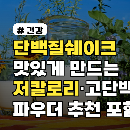 단백질쉐이크 맛있게 만드는 방법과 저칼로리·고단백 파우더 추천 포함