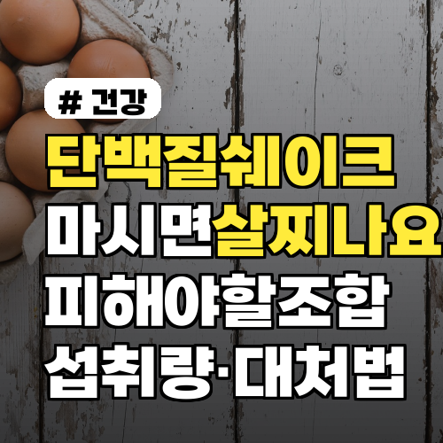 단백질쉐이크만 마시면 살찌나요? 피해야 할 조합 6가지와 섭취량·대처법