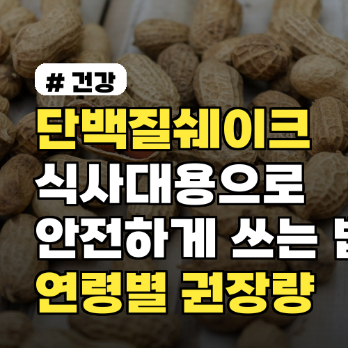 단백질쉐이크 식사대용으로 안전하게 쓰는 법과 연령별 권장량까지 정리