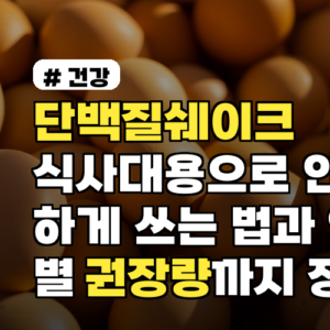 단백질쉐이크 식사대용으로 안전하게 쓰는 법과 연령별 권장량까지 정리