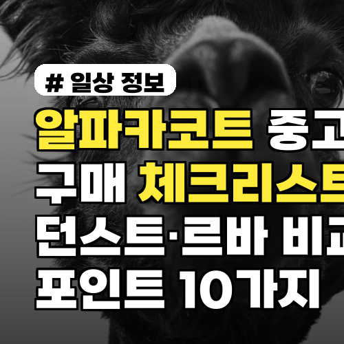 알파카코트 중고 구매 체크리스트: 던스트·르바 비교 포인트 10가지