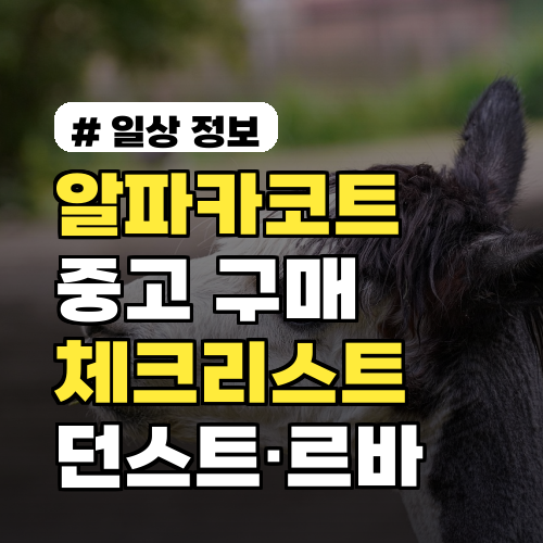 알파카코트 중고 구매 체크리스트: 던스트·르바 비교 포인트 10가지
