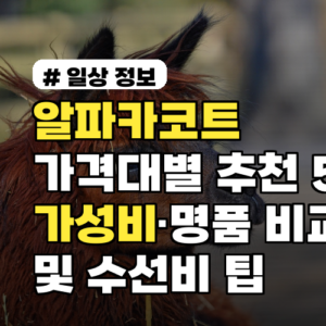 알파카코트 가격대별 추천 5선: 가성비·명품 비교 및 수선비 팁