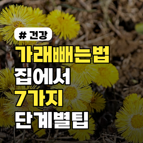 가래빼는법 집에서 효과적인 방법 7가지 비교와 단계별 팁 및 의사 의견 정리