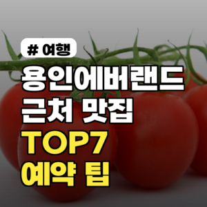 용인에버랜드 근처 맛집 추천 TOP7 메뉴별 평점 2026 최신 예약 팁