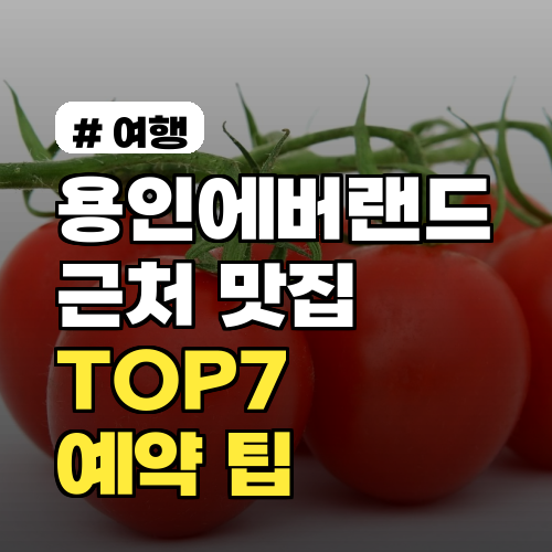 용인에버랜드 근처 맛집 추천 TOP7 메뉴별 평점 2026 최신 예약 팁