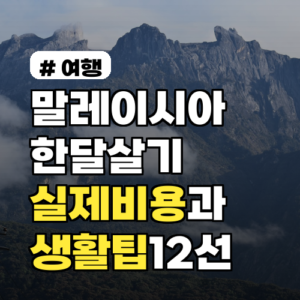 말레이시아 한달살기 실제 비용과 생활 팁 12선 2026년 기준