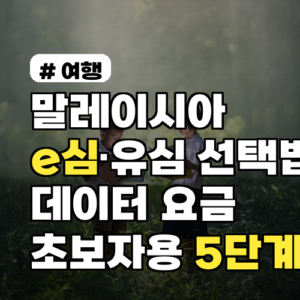 말레이시아 e심·유심 선택법과 데이터 요금 설정 방법 초보자용 5단계