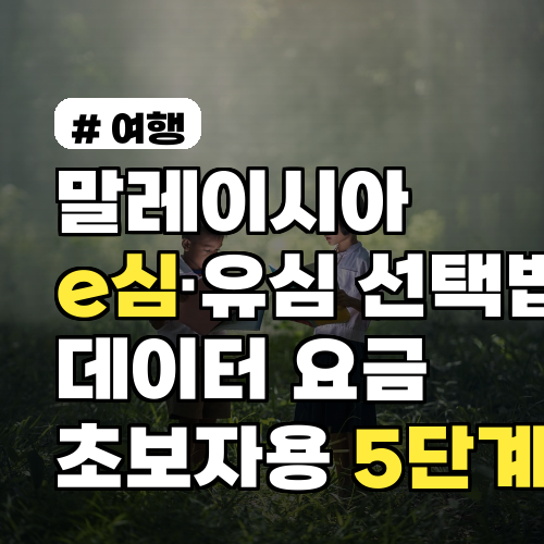 말레이시아 e심·유심 선택법과 데이터 요금 설정 방법 초보자용 5단계