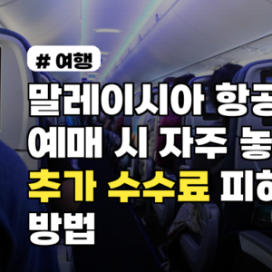 말레이시아 항공권 예매 시 자주 놓치는 추가 수수료 피하는 방법