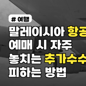 말레이시아 항공권 예매 시 자주 놓치는 추가 수수료 피하는 방법