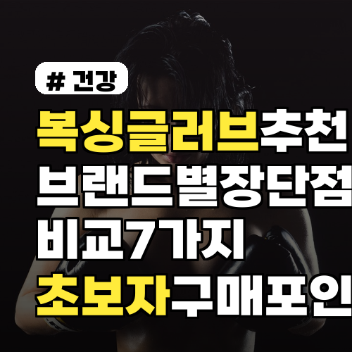 복싱글러브 추천 브랜드별 장단점 비교 7가지 초보자 구매포인트까지 한눈에