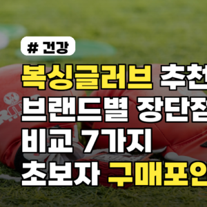 복싱글러브 추천 브랜드별 장단점 비교 7가지 초보자 구매포인트까지 한눈에