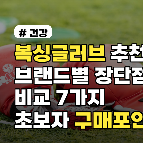 복싱글러브 추천 브랜드별 장단점 비교 7가지 초보자 구매포인트까지 한눈에
