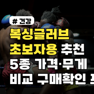 복싱글러브 초보자용 추천 5종 가격·무게 비교 구매확인 포인트까지