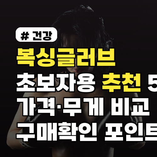 복싱글러브 초보자용 추천 5종 가격·무게 비교 구매확인 포인트까지