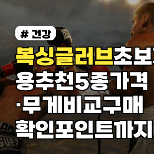복싱글러브 초보자용 추천 5종 가격·무게 비교 구매확인 포인트까지