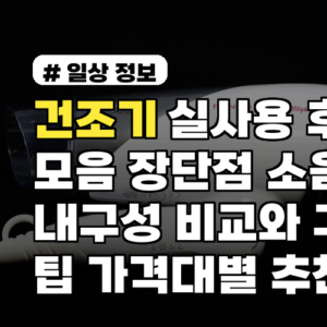 건조기 실사용 후기 모음 장단점 소음 내구성 비교와 구매 팁 가격대별 추천 포함