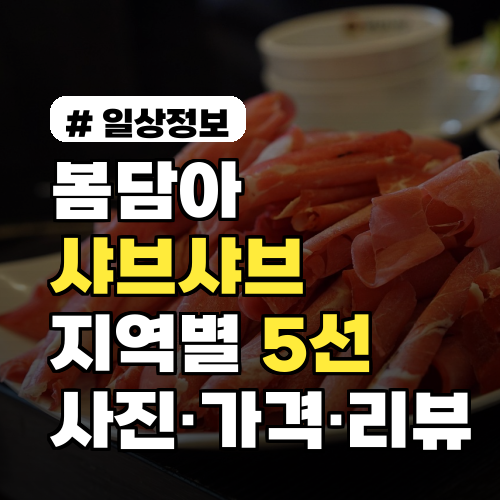 봄담아샤브샤브 지역별 인기메뉴 비교 5선과 실물 사진·가격·리뷰·평점까지