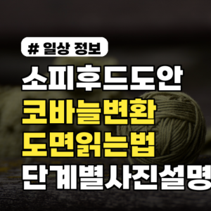 소피후드도안 코바늘 변환 완전정복: 도면 읽는법 포함 초보자용 단계별 사진 설명
