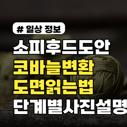소피후드도안 코바늘 변환 완전정복: 도면 읽는법 포함 초보자용 단계별 사진 설명