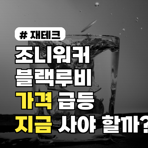 조니워커블랙루비 가격 급등 시점, 지금 사야 할까? 타이밍·최저가 확인법 포함