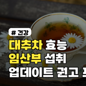 대추차 효능 임산부가 꼭 알아야 할 섭취 가이드 2026년 업데이트된 권고사항 포함