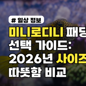 미니로디니 패딩 선택 가이드: 2026년 사이즈·세탁·따뜻함 비교