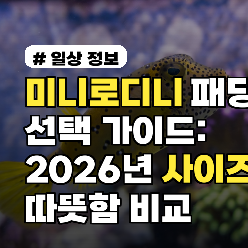 미니로디니 패딩 선택 가이드: 2026년 사이즈·세탁·따뜻함 비교