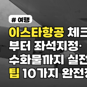 이스타항공 체크인부터 좌석지정·수화물까지 실전 팁 10가지 2026년 완전정리