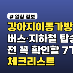 강아지이동가방 버스·지하철 탑승 전 꼭 확인할 7가지 체크리스트