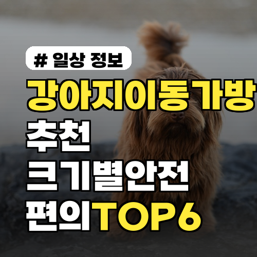 강아지이동가방 추천, 크기별 안전·편의 TOP 6 비교와 선택 팁