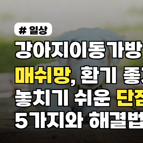 강아지이동가방 매쉬망, 환기 좋지만 놓치기 쉬운 단점 5가지와 해결법