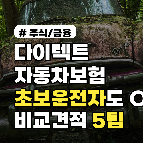 다이렉트자동차보험 초보운전자도 적용되는 비교견적 팁 5가지 실전 체크리스트 포함
