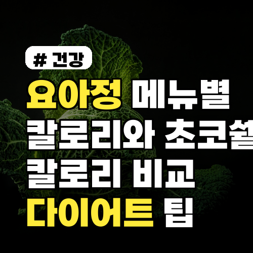 요아정 메뉴별 칼로리와 초코쉘 칼로리 비교 분석 및 다이어트 팁 포함 정리