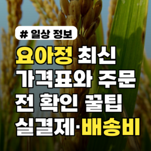 요아정 최신 가격표와 주문 전 확인할 꿀팁 10선 실결제 팁·배송비 체크 포함