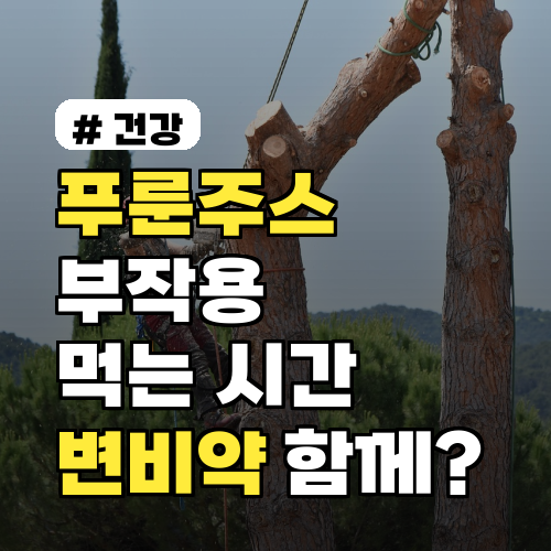 푸룬주스 부작용 및 먹는 시간: 변비약과 함께 써도 될까? 의사 권고로 정리