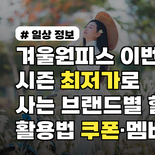 겨울원피스 이번 시즌 최저가로 사는 브랜드별 할인 활용법 쿠폰·멤버십 비교 팁