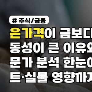 은가격이 금보다 변동성이 큰 이유와 전문가 분석 한눈에 차트·실물 영향까지