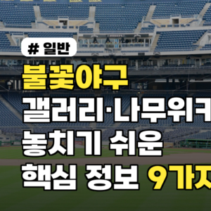 불꽃야구 갤러리·나무위키에서 놓치기 쉬운 핵심 정보 9가지 2026 업데이트 포함