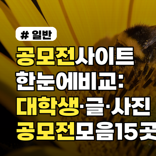 공모전 사이트 한눈에 비교: 대학생·글·사진 공모전 모음 15곳