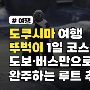 도쿠시마 여행 뚜벅이 1일 코스 도보·버스만으로 완주하는 루트 추천