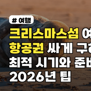 크리스마스섬 여행 항공권 싸게 구하는 최적 시기와 준비물 2026년 팁