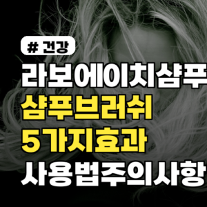 라보에이치샴푸 샴푸브러쉬 함께 쓰면 생기는 변화 5가지 효과·사용법·주의사항까지