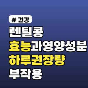 렌틸콩 효능과 영양성분 정리 2026년 기준 하루 권장량·부작용