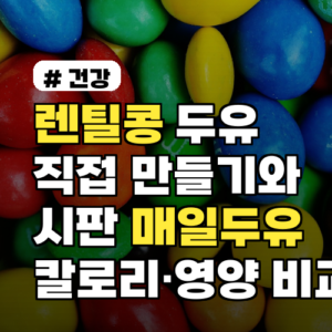 렌틸콩 두유 직접 만들기와 시판 매일두유 칼로리·영양 비교 비용·맛·보관법까지