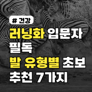 러닝화 입문자 필독: 발 유형별 초보 추천 7가지 모델 2026년 기준
